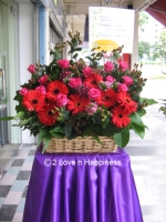 Opening Flower Stand